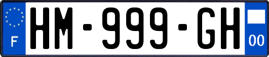 HM-999-GH