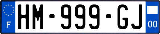 HM-999-GJ