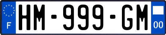 HM-999-GM