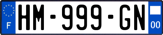 HM-999-GN