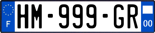 HM-999-GR