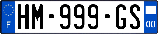 HM-999-GS