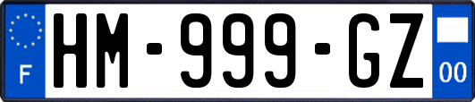 HM-999-GZ