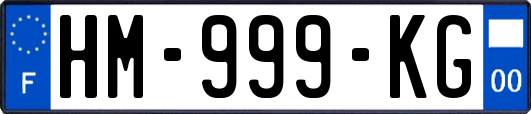 HM-999-KG