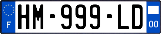 HM-999-LD