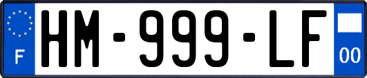 HM-999-LF