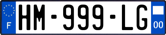 HM-999-LG