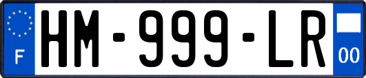 HM-999-LR