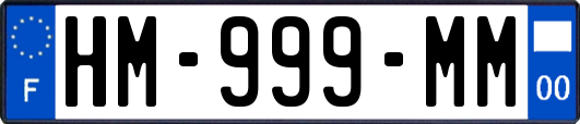 HM-999-MM