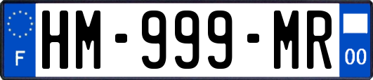HM-999-MR