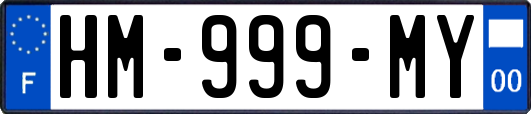 HM-999-MY