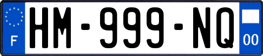 HM-999-NQ