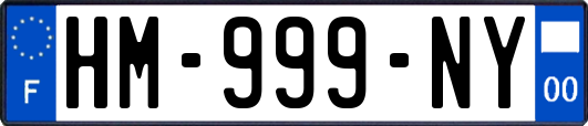 HM-999-NY