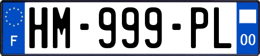 HM-999-PL