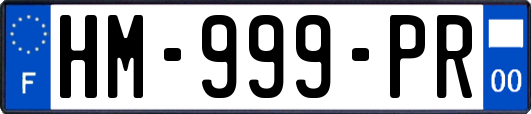 HM-999-PR