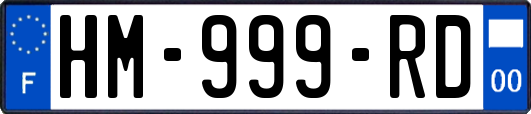 HM-999-RD