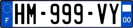 HM-999-VY
