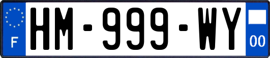 HM-999-WY