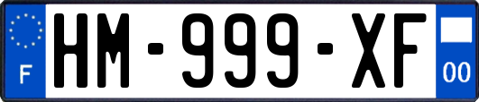 HM-999-XF