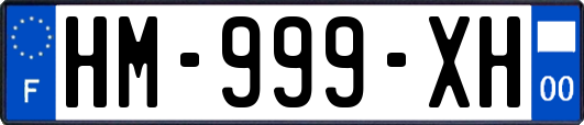 HM-999-XH