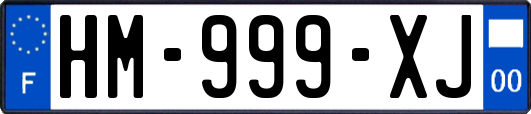HM-999-XJ
