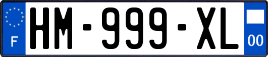 HM-999-XL