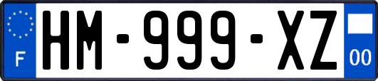 HM-999-XZ