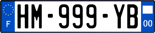 HM-999-YB