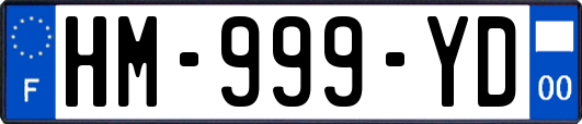 HM-999-YD
