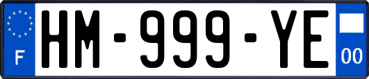 HM-999-YE
