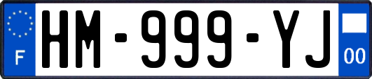 HM-999-YJ