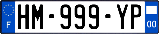 HM-999-YP