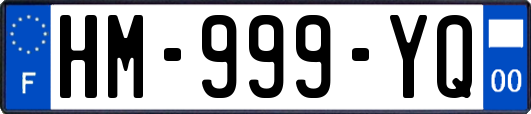 HM-999-YQ