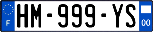 HM-999-YS