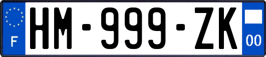 HM-999-ZK