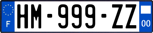 HM-999-ZZ