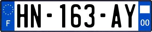 HN-163-AY