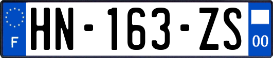 HN-163-ZS