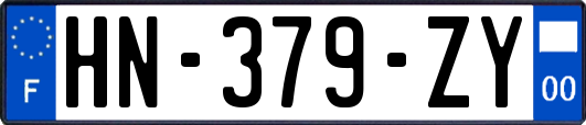 HN-379-ZY