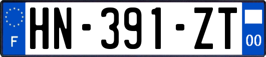 HN-391-ZT