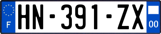HN-391-ZX