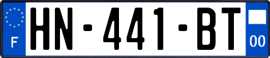 HN-441-BT