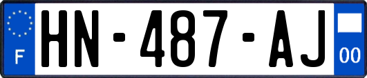 HN-487-AJ