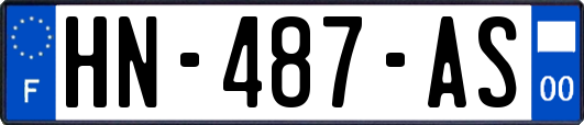 HN-487-AS