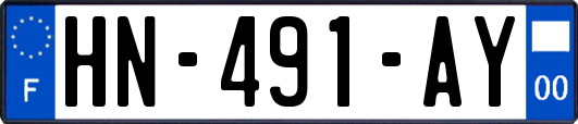 HN-491-AY