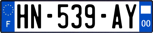 HN-539-AY