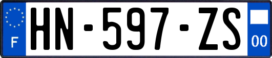 HN-597-ZS