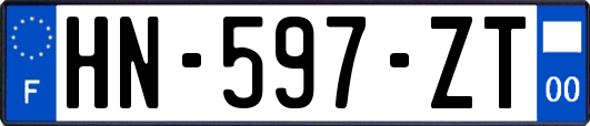 HN-597-ZT