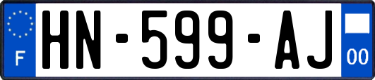HN-599-AJ