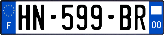 HN-599-BR